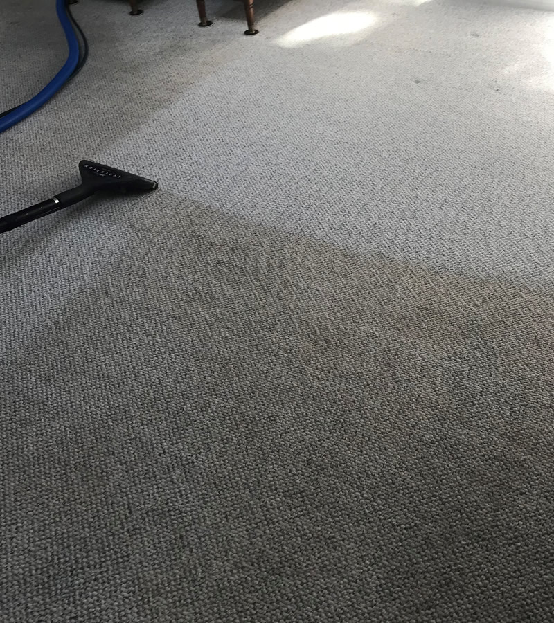Carpet cleaned in Puyallup, WA